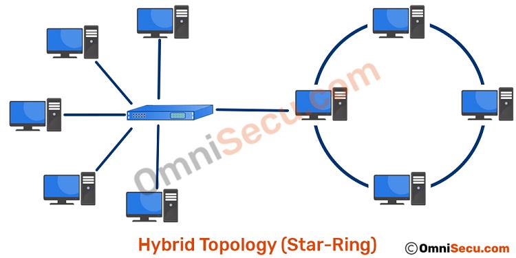 hybrid topology examples