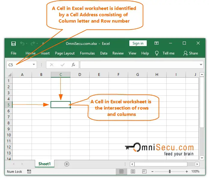 Row Column And Cell In Excel Worksheet