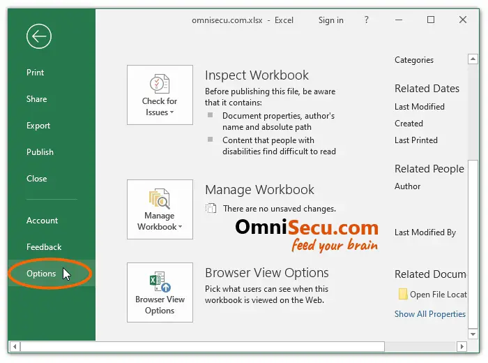 open-excel-options-autocorrect.jpg