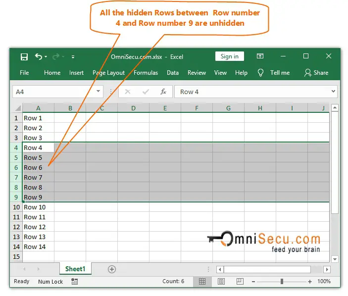 How To Hide Or Unhide Rows In Excel Worksheet