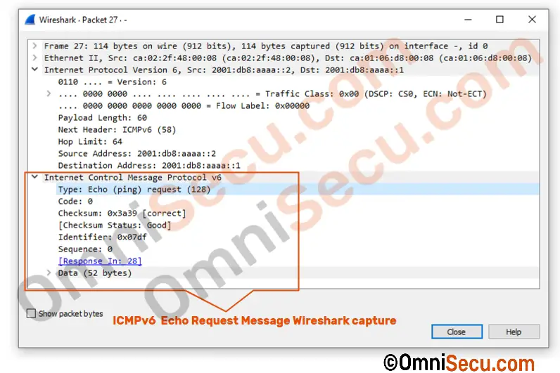 icmpv6-echo-request-message-capture.jpg