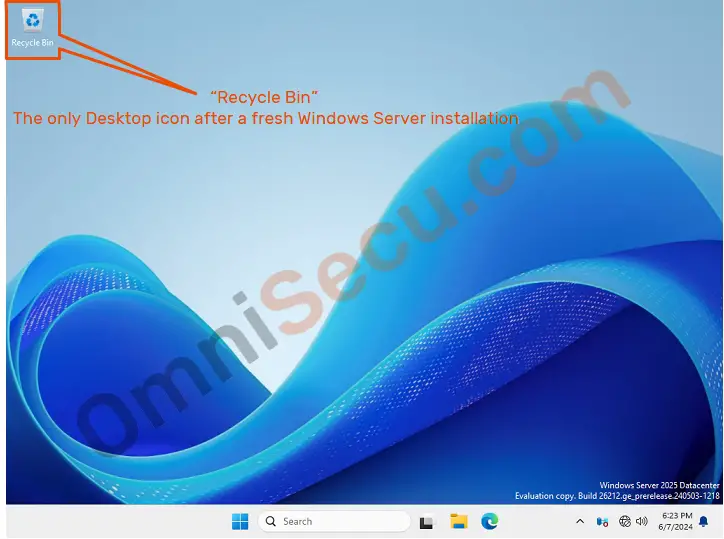 recycle-bin-only-desktop-icon-after-installation.jpg